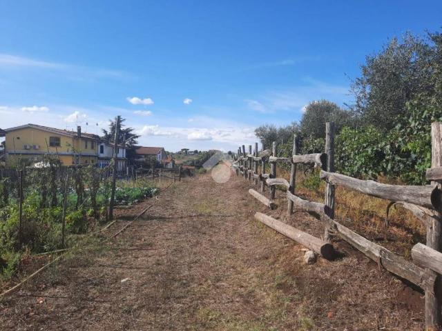 Terreno in vendita a Albano Laziale RM