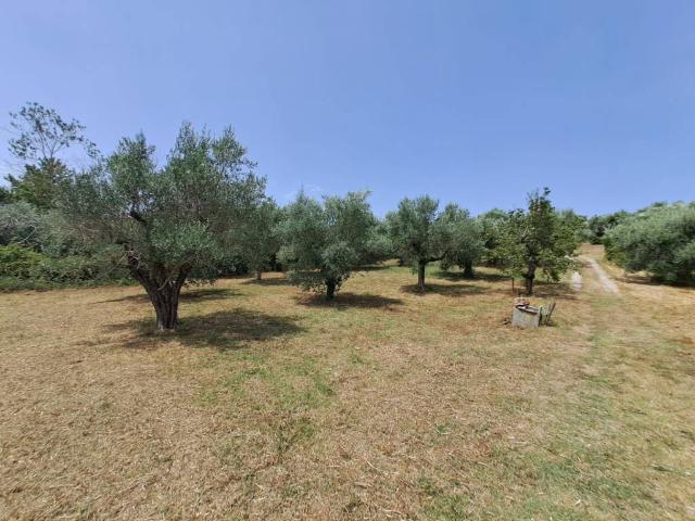 Terreno in vendita a Albano Laziale RM
