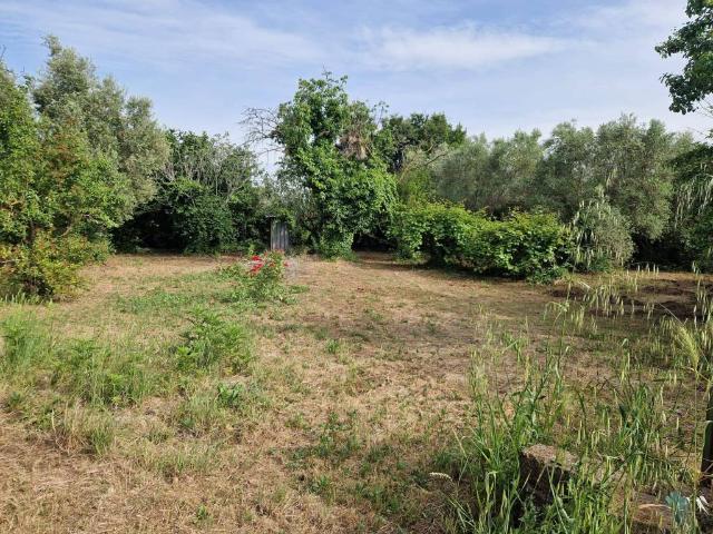 Terreno in vendita a Albano Laziale RM