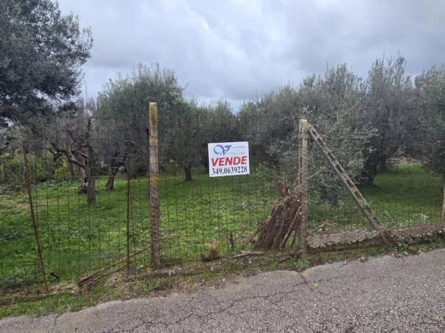 Terreno in vendita a Albano Laziale RM