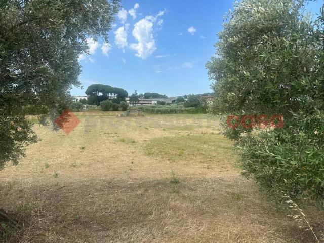 Terreno in vendita a Albano Laziale RM