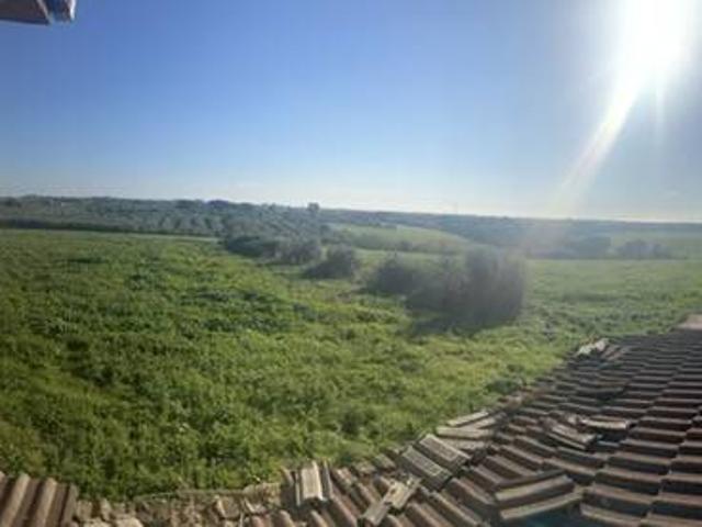 Terreno in vendita a Albano Laziale RM