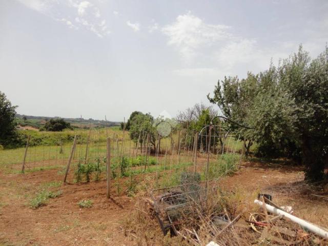 Terreno in vendita a Albano Laziale RM