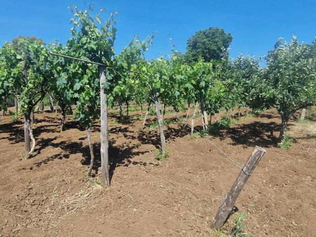 Terreno in vendita a Albano Laziale RM