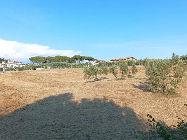 Terreno in vendita a Albano Laziale RM