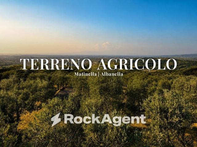 Terreno in vendita a Albanella SA