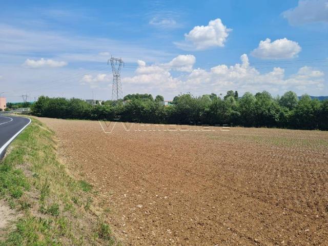 Terreno in vendita a Albettone VI