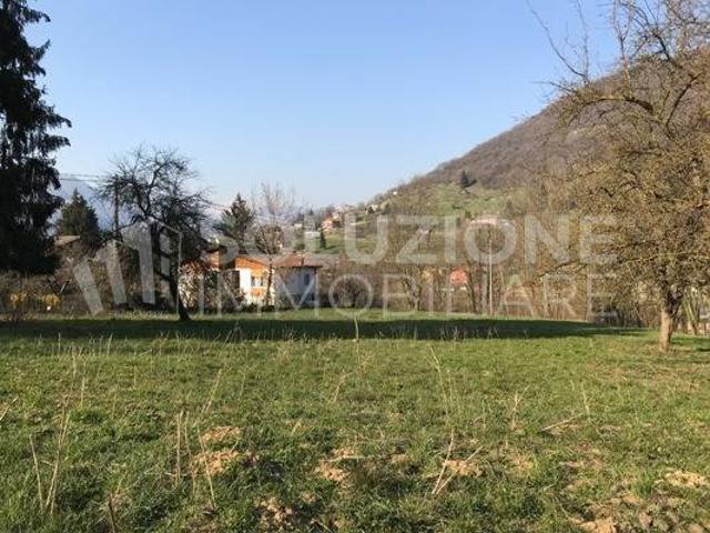 Terreno in vendita a Albino BG
