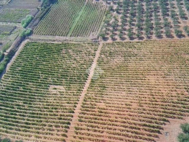 Terreno in vendita a Alcamo TP