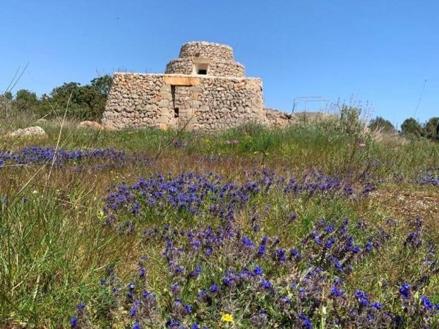 Terreno in vendita a Alessano LE