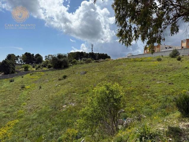 Terreno in vendita a Alessano LE