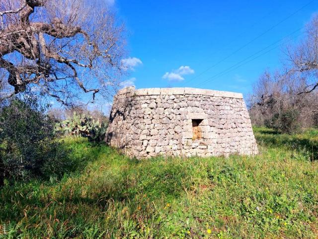 Terreno in vendita a Alessano LE