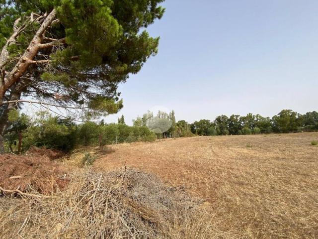 Terreno in vendita a Alghero SS