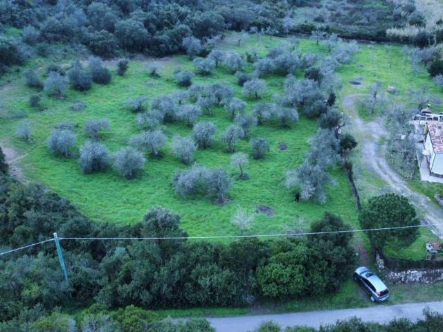 Terreno in vendita a Alghero SS