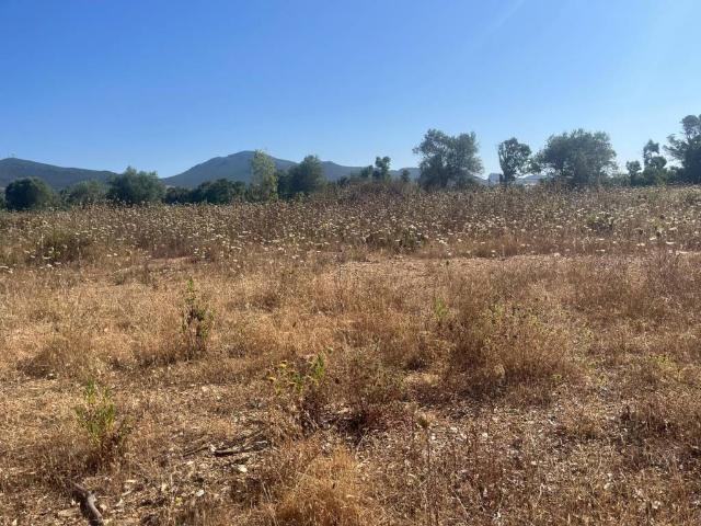 Terreno in vendita a Alghero SS