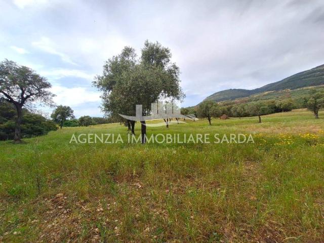 Terreno in vendita a Alghero SS