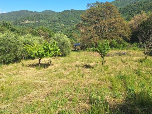 Terreno in vendita a Allumiere RM