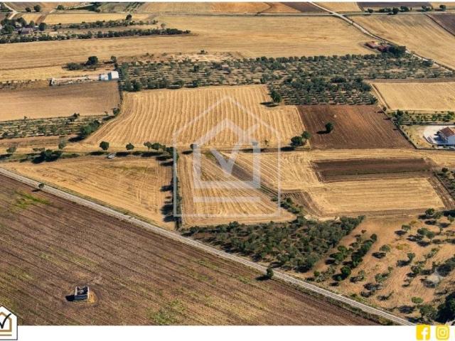Terreno in vendita a Altamura BA