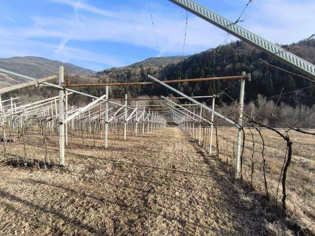 Terreno in vendita a Altavalle TN