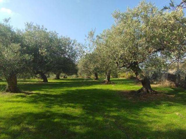 Terreno in vendita a Altavilla Milicia PA