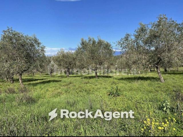 Terreno in vendita a Altavilla Silentina SA