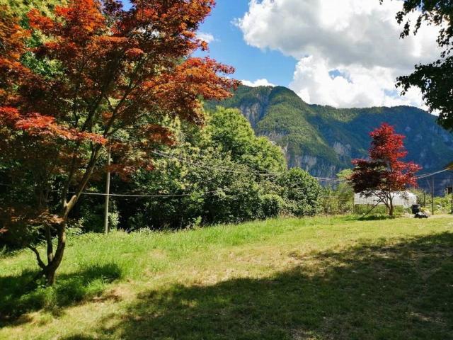 Terreno in vendita a Altopiano della Vigolana TN