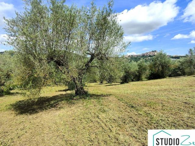 Terreno in vendita a Amelia TR
