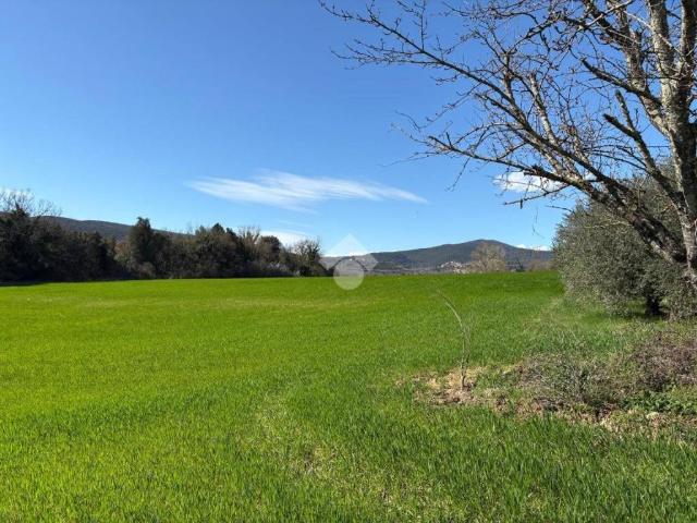 Terreno in vendita a Amelia TR
