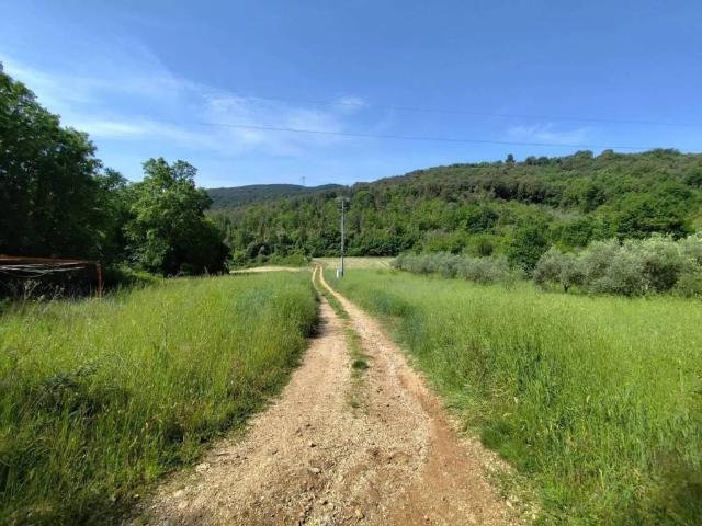 Terreno in vendita a Amelia TR