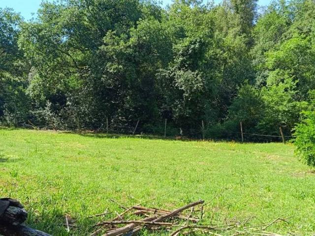 Terreno in vendita a Amelia TR