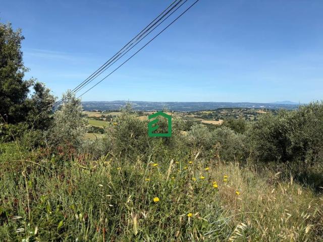 Terreno in vendita a Amelia TR