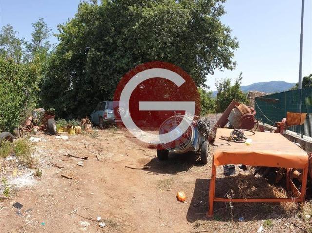 Terreno in vendita a Anoia RC