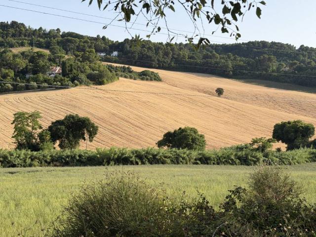 Terreno in vendita a Ancona AN