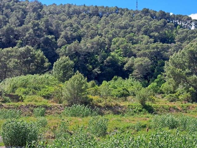 Terreno in vendita a Andora SV