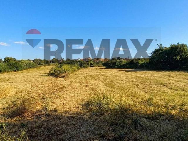 Terreno in vendita a Anzio RM