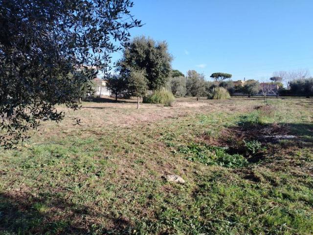 Terreno in vendita a Anzio RM