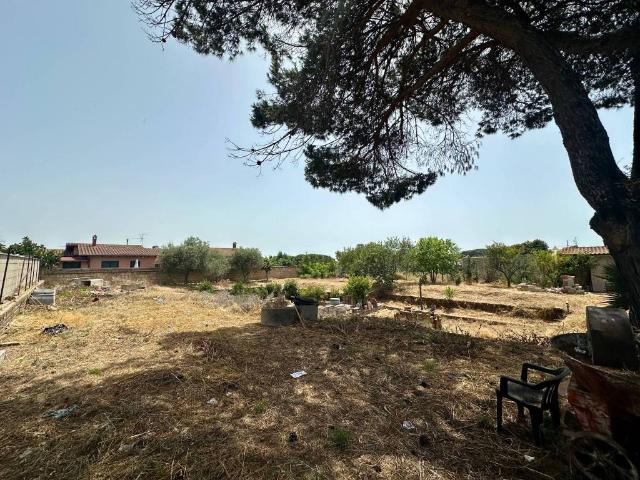 Terreno in vendita a Anzio RM