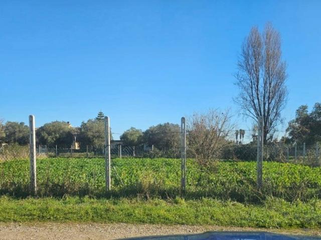 Terreno in vendita a Anzio RM