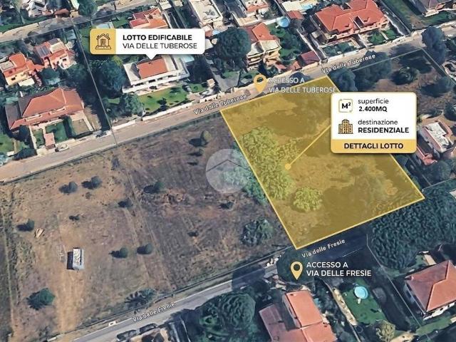 Terreno in vendita a Anzio RM