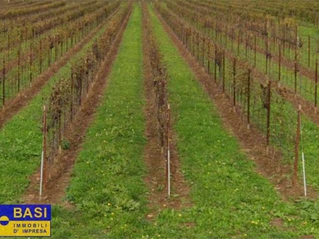 Terreno in vendita a Asolo TV