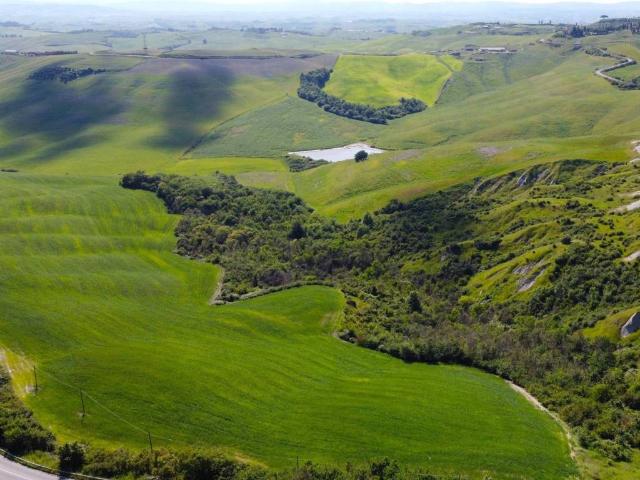 Terreno in vendita a Asciano SI