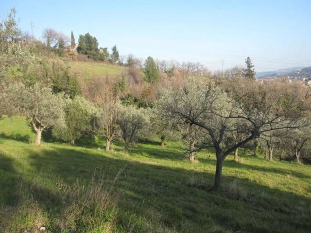 Terreno in vendita a Ascoli Piceno AP