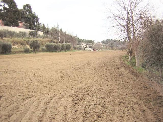 Terreno in vendita a Ascoli Piceno AP