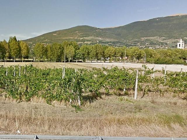Terreno in vendita a Assisi PG