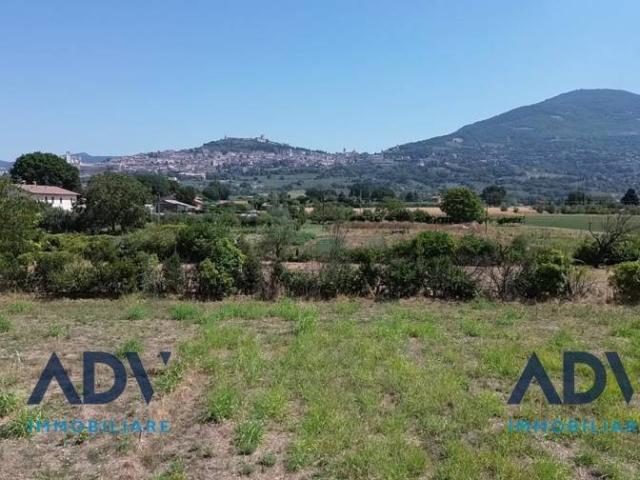 Terreno in vendita a Assisi PG