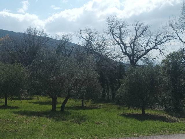 Terreno in vendita a Assisi PG