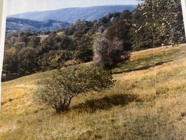 Terreno in vendita a Assisi PG