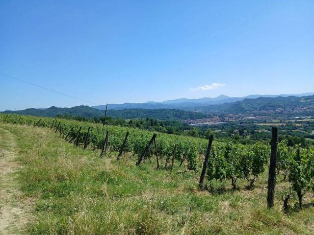 Terreno in vendita a Asti AT