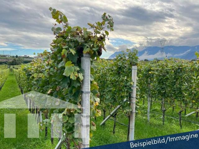 Terreno in vendita a Appiano sulla Strada del Vino BZ