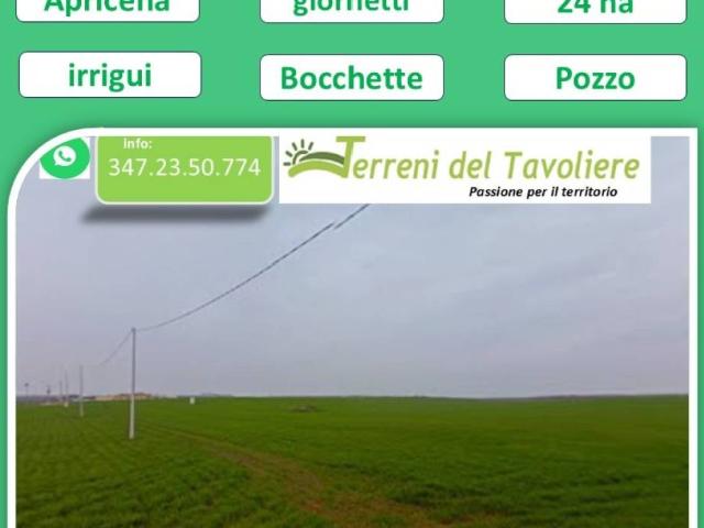Terreno in vendita a Apricena FG
